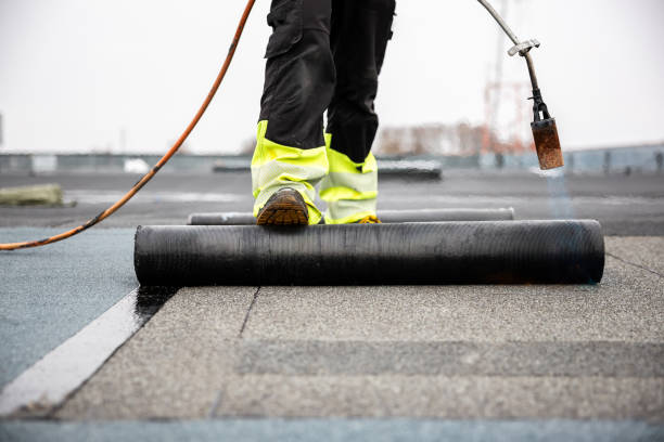 Best Roof Maintenance and Cleaning  in Hilltop, SC