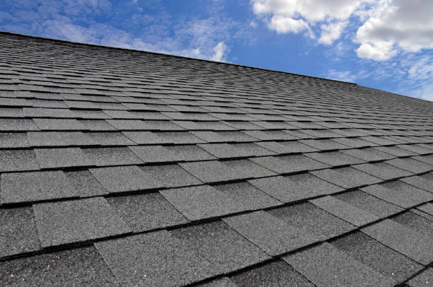 Best Roof Moss and Algae Removal  in Hilltop, SC