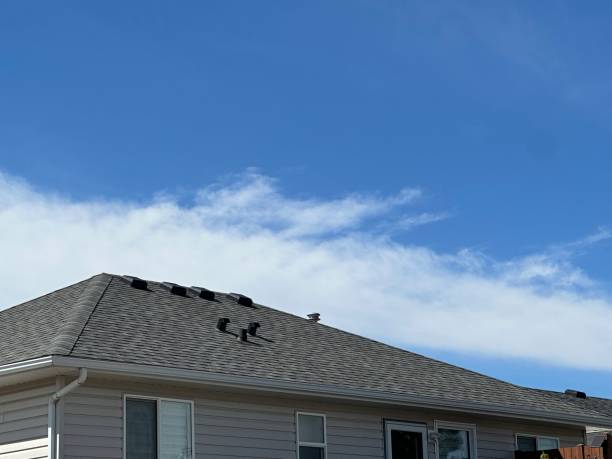 Best Roof Coating Services  in Hilltop, SC